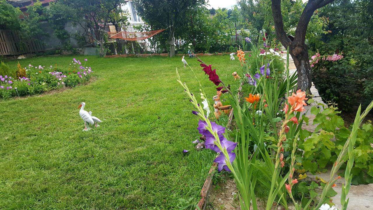 Guest House Agush Kribul Esterno foto