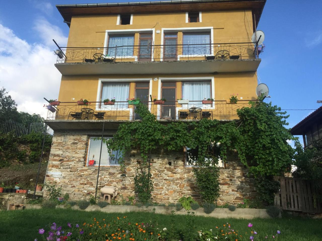 Guest House Agush Kribul Esterno foto