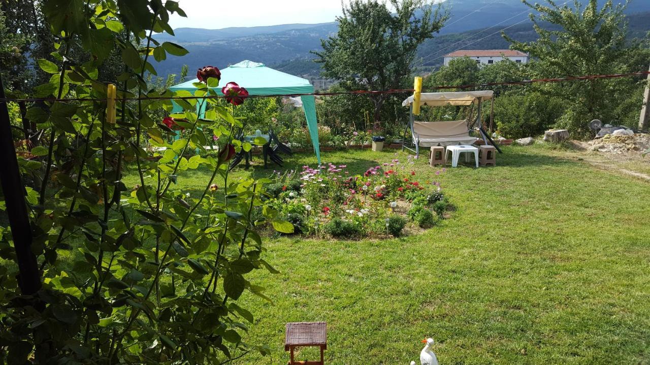 Guest House Agush Kribul Esterno foto