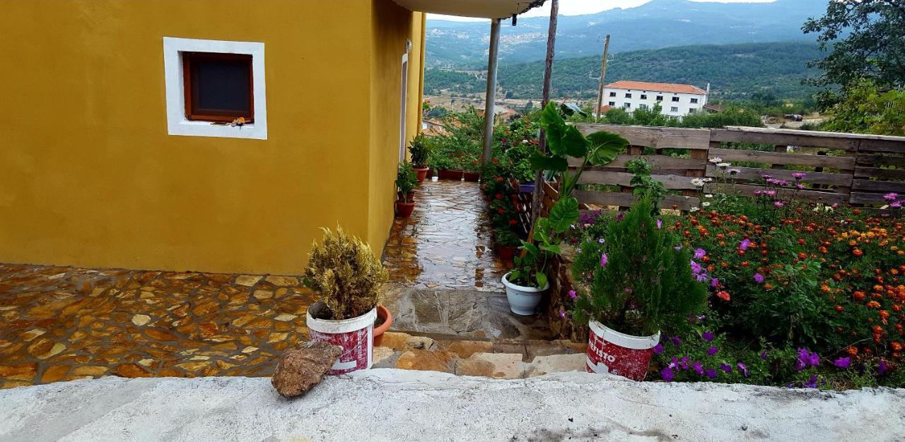Guest House Agush Kribul Esterno foto