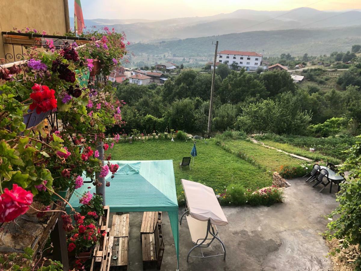 Guest House Agush Kribul Esterno foto